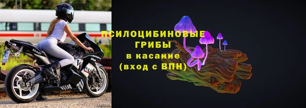 хмурый Дегтярск