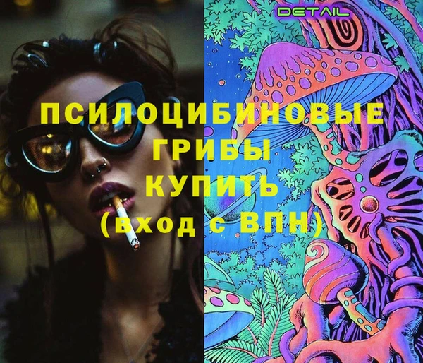 СК Пролетарск