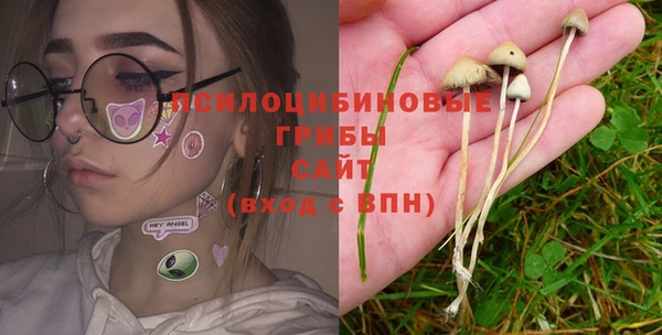 СК Пролетарск