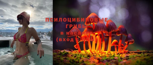 СК Пролетарск